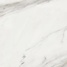 Calacatta Superwhite Satin Rec