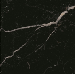 Royal Black High Glossy