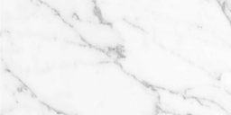 Aral White Polished Rect