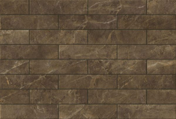 Rapid Brown