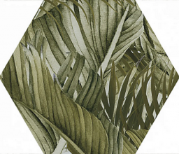 Hex.Vegetal Trend