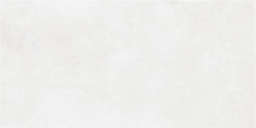 60x120 Core Mat White Rect.Por.Tile