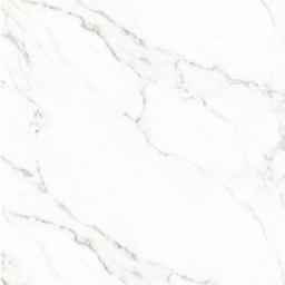 Carrara White