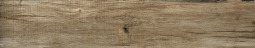 Jazz Oak