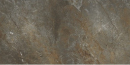 Petra-steel камень серый 60x120 GRS02-05