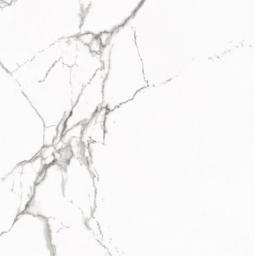 Statuario Venato Polished