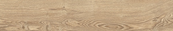 Forest Honey Slim Rec