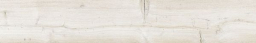 Lyptus Pine