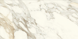 Anima Ever Apuan Gold 60x120 Luc
