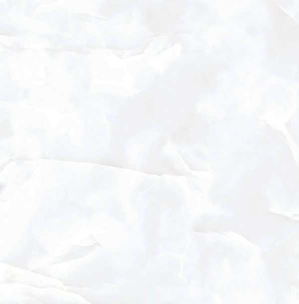 Coin White Glossy Coin White Glossy