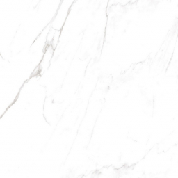 Calacatta Domino Polished