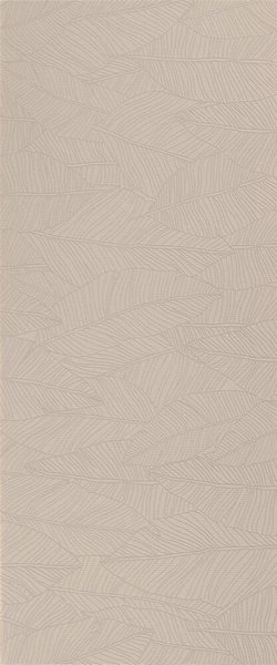 Aplomb Canvas Leaf (A6FD)