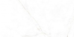 Museum Dual White Nt/60x120/C/R
