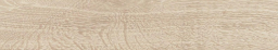 Orinoco Beige Placket