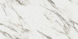 R_PR2005 Divine Calacatta Polished