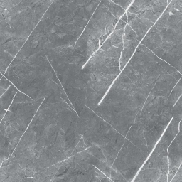 R_PR1019 Carnico Grey Polished