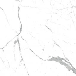 Statuario White 0005