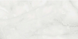 Antisky Grey Glossy