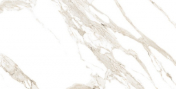 Statuario Carara Glossy