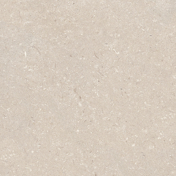 Coral Caliza L