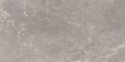 Concept Gray