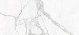 Calacatta Bianca 120x270 Polished