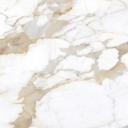 Calacatta Gold 120x120 Matt