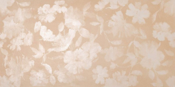 Color Mood Flower Rosa