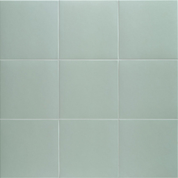 PT03703 Technical Aloe