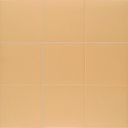 PT03670 Technical Tangerine