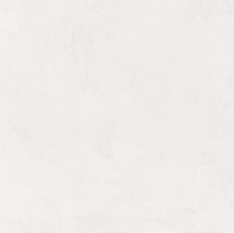 Evolution Blanco SG602520R 60х60 Матовый Карвинг