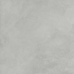 Evolution Smoke SG603720R 60х60 Матовый Карвинг