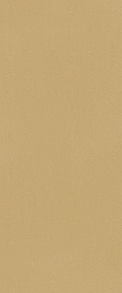 fTDS True Color Caramel Rt