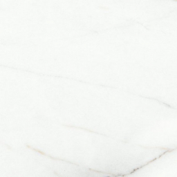 Voyage Blanco SG606822R 60х60 полированный