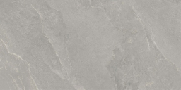 ArdeStone Grey 120x60 K948700R0001VTER