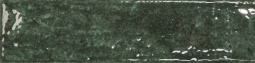 Mediterraneo Oliva