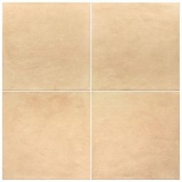 31845 Ares Natural