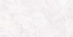 Arctic White Carving 60x120 CR