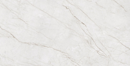 Meteria Silver 60x120 CR